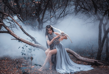 Fantasy woman nymph holding bird in hand Mysterious sorceress. beautiful creative design blue dress. background cold forest dark trees in fog. Girl with white owl. Art goddess nature tiara on head