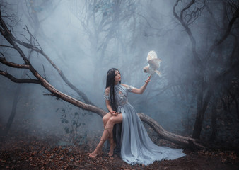 Mysterious sorceress in a beautiful blue dress. The background is a cold forest in the fog. Girl with a white owl. Artistic Photography - obrazy, fototapety, plakaty