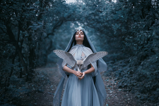 Mysterious sorceress in a beautiful blue dress calls for strength. The background is a cold forest in the fog. Girl with a white owl. Artistic Photography
