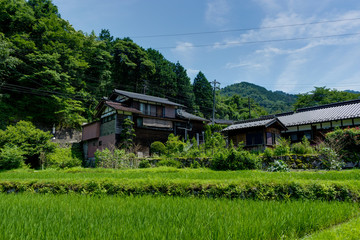 Tsumago Magone Trail Japan