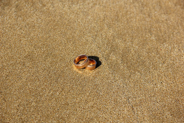 Fototapeta na wymiar Wedding rings lay on the sand beach