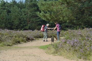 zwei frauen gehen mit hunden in der mehlinger heide