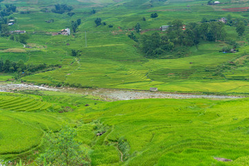 Fototapeta na wymiar Summer nature background of rice terraces and village