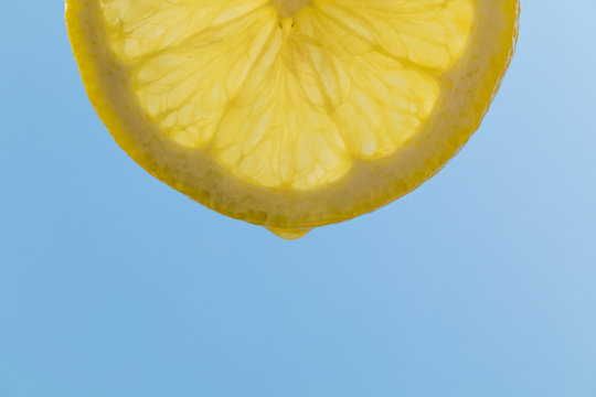 Lemon slice, macro