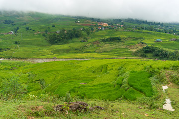 Obraz premium Summer nature background of rice terraces and village