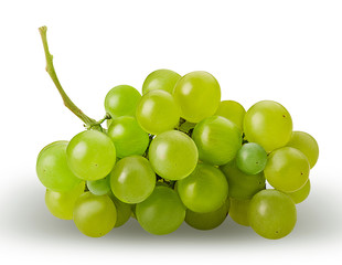 Ripe bunch green grape