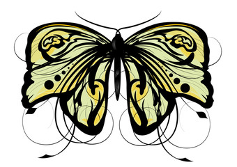 vector abstract butterfly illustration