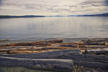 Logs in Transfer Beach at sunset in Vancouver Island, BC, Canada