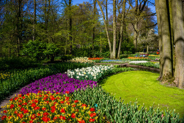 Spring Formal Garden. Beautiful garden of colorful flowers
