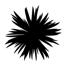 Black and White Flowers Silhouette