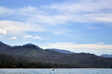 Coast view from the sea