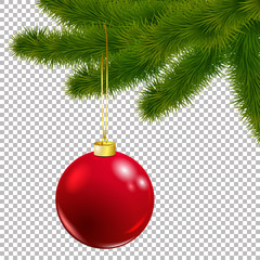 Christmas vector tree decorative branch with baubles on transparent background. Realistic pine branches illustration