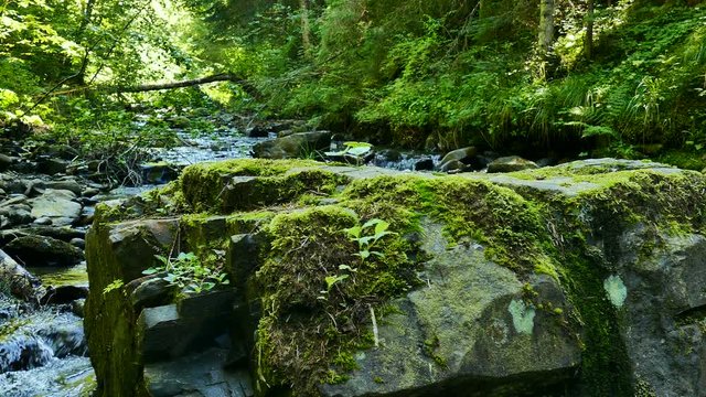 4K. Stone, green moss and stream. Dolly Landscape 