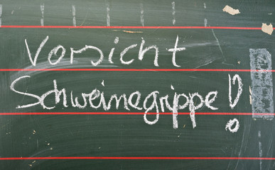 Vorsicht Schweinegripppe - Symbolfoto