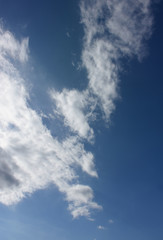 Fototapeta premium 青空と雲「空想・雲のモンスターたち」（急降下、下方に向かう、降下する、何かを見つけて拾うなどのイメージ）