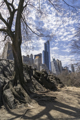 New York City Skyline from Central Park