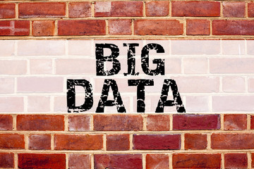 Fototapeta premium Conceptual announcement text caption inspiration showing Big Data. Business concept for Storage Network Online Server written on old brick background with copy space