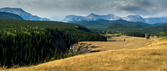 Sheep River Valley