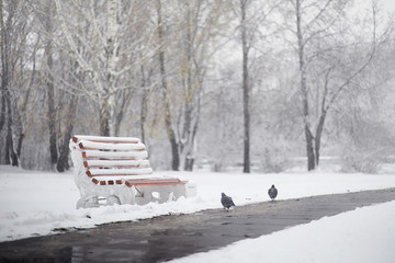 Snow-covered winter park and benches. Park and pier for feeding 