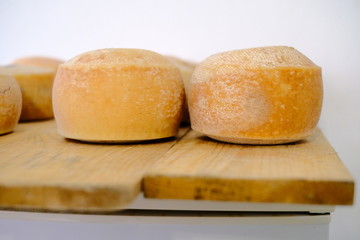 Cheese heads on factory getting ready to hit the shelves