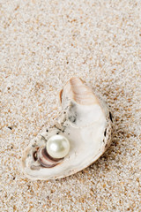 Single pearl in oyster sea shell on sand