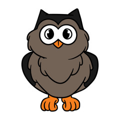 Cartoon Owl Character