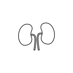Human Organ Kidney Line Icon