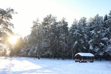 wooden gazebo in forest in winter sunny day