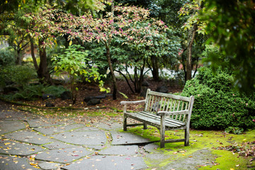 Bench in a wooded park