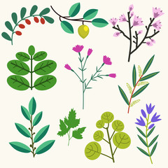 Vector plants set