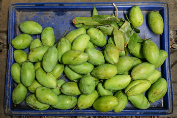 Beautiful composition with green mango in blue tray