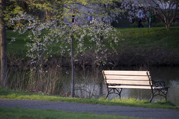 Elizabeth Park Four -Lonely Bench
