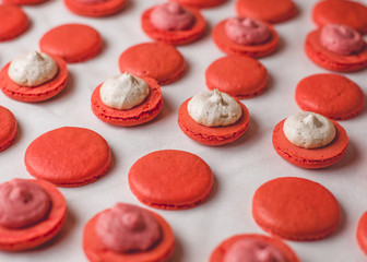 Red and White Macaron