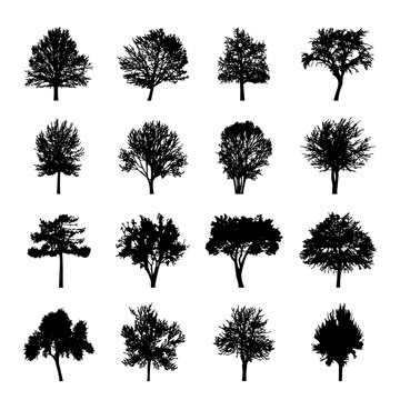 Black tree silhouettes Nature Forest Vector Illustration