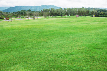 Naklejka premium Lawn with mountain background.