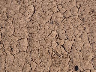 A background shot of a dry, cracked desert floor