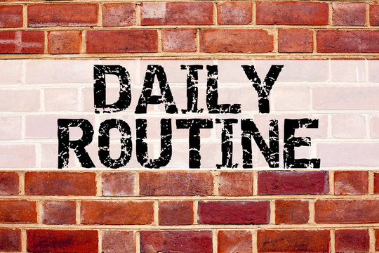 Conceptual announcement text caption inspiration showing Daily Routine. Business concept for Accuracy Procedure written on old brick background with copy space