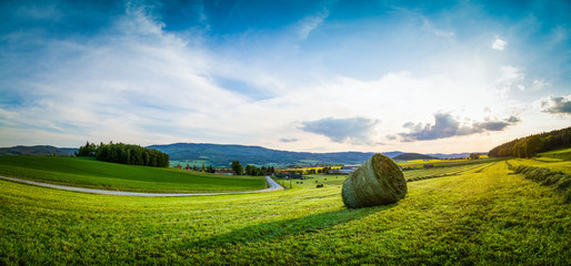 bale of hay in summer day © Libor