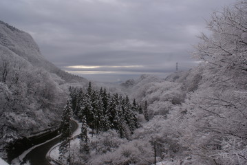 Fototapeta premium 雪国の朝