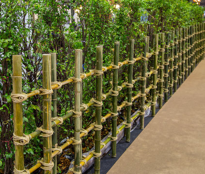 Natural material wooden bamboo fence in garden