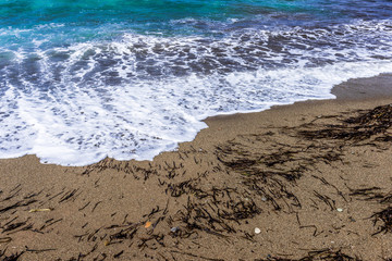 The sea shore is littered with seaweed