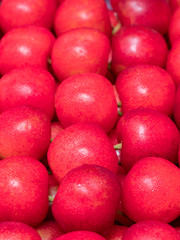 Close up of beautifully aligned Japanese cherries - Sato Nishiki brand