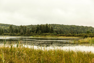 Canada Ontario Lake of two rivers natural wild landscape near the water in Algonquin National Park