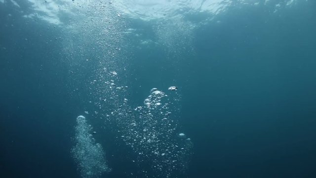Air bubbles from scuba diver on blue background in water