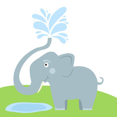 Elephant spray water with trunk. Splashing water from the elephant's trunk.