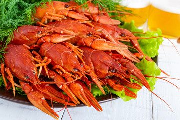 A large pile of boiled crawfish on a ceramic plate,  glasses of beer on a white wooden background. Close up
