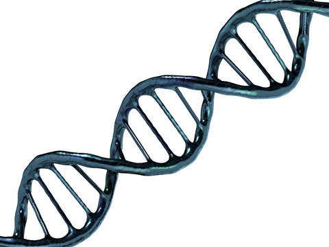 Digital illustration of a DNA model. 3D rendering