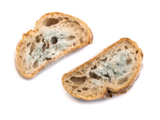 Mold on Bread Isolated