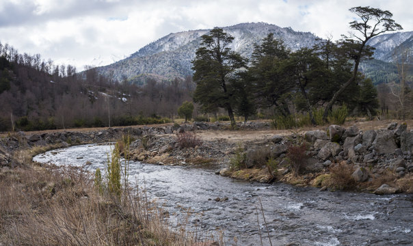 Estero Claro River Bend in Malalcahuello, Curacauti&shy;n, IX Region, Chile