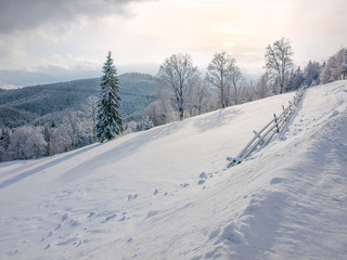 Winter landscape of the Carpathian Mountains